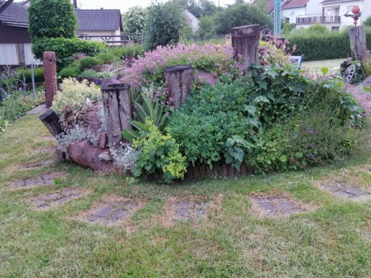Ferienwohnung Am Steinchen メトラッハ エクステリア 写真